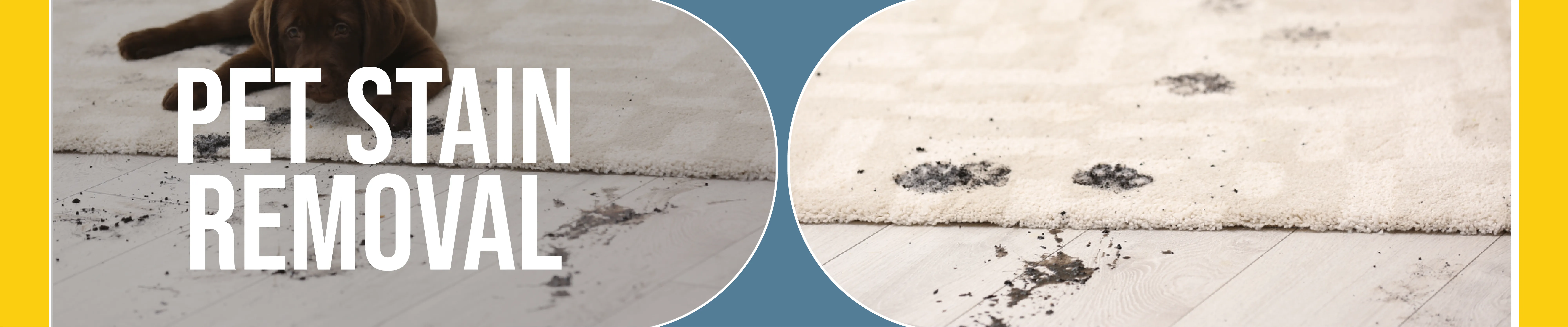 carpet cleaning in bronx, carpet cleaning bronx, carpet cleaners in bronx, carpet cleaners in bronx, commercial carpet cleaning, commercial carpet cleaning in bronx, bronx rug cleaners, rug cleaning services in bronx, same day carpet cleaning, same day rug cleaning in bronx