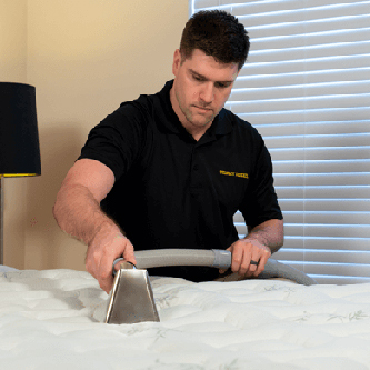 carpet cleaning in bronx, carpet cleaning bronx, carpet cleaners in bronx, carpet cleaners in bronx, commercial carpet cleaning, commercial carpet cleaning in bronx, bronx rug cleaners, rug cleaning services in bronx, same day carpet cleaning, same day rug cleaning in bronx