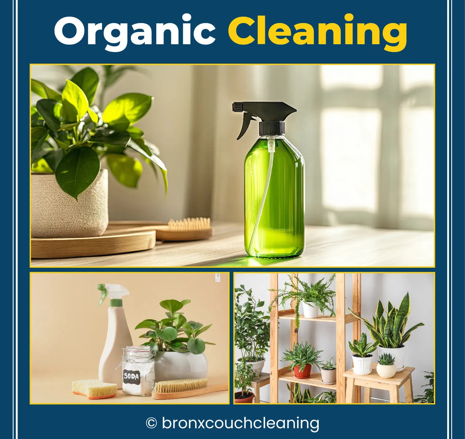 carpet cleaning in the Bronx, carpet cleaning in the Bronx, carpet cleaning the Bronx, carpet cleaners in the Bronx, carpet cleaners in the Bronx, commercial carpet cleaning, commercial carpet cleaning in the Bronx, the Bronx rug cleaners, rug cleaning services in the Bronx, same day carpet cleaning, same day rug cleaning